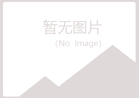 日照岚山忆山服务有限公司